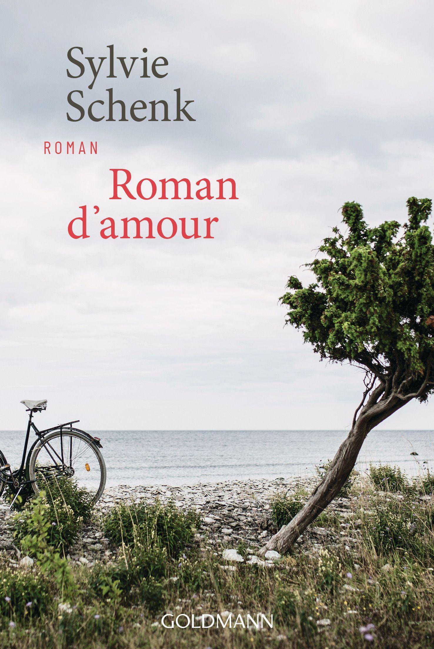 Roman d'amour