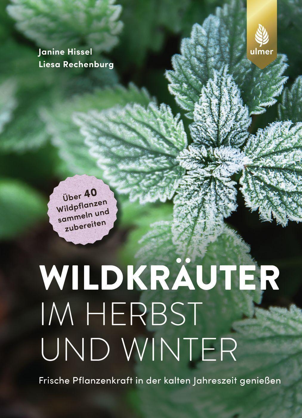 Wildkräuter im Herbst und Winter