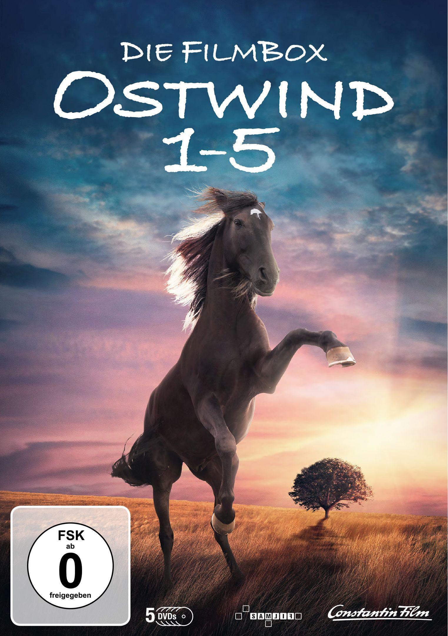 Ostwind 1-5