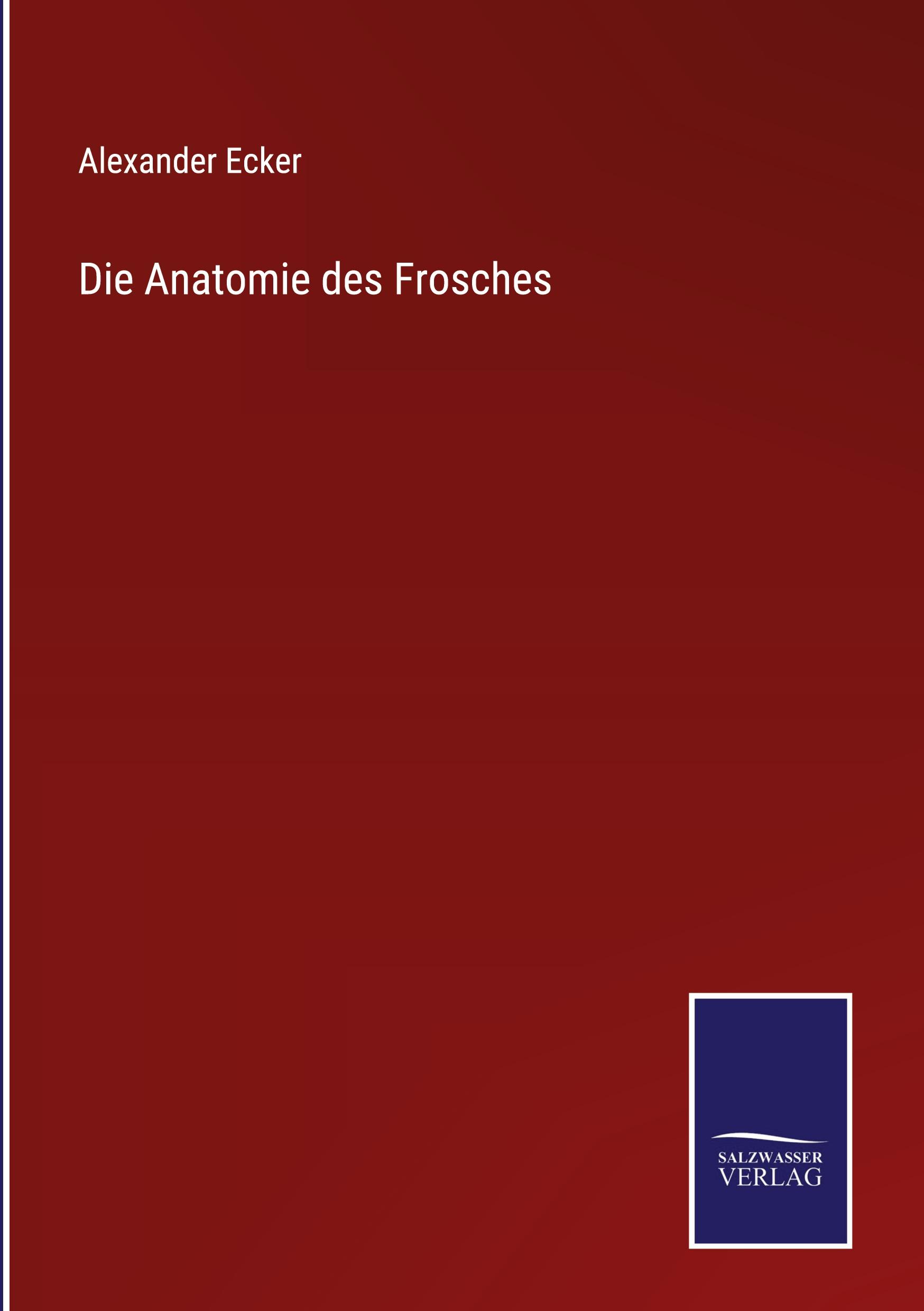 Die Anatomie des Frosches