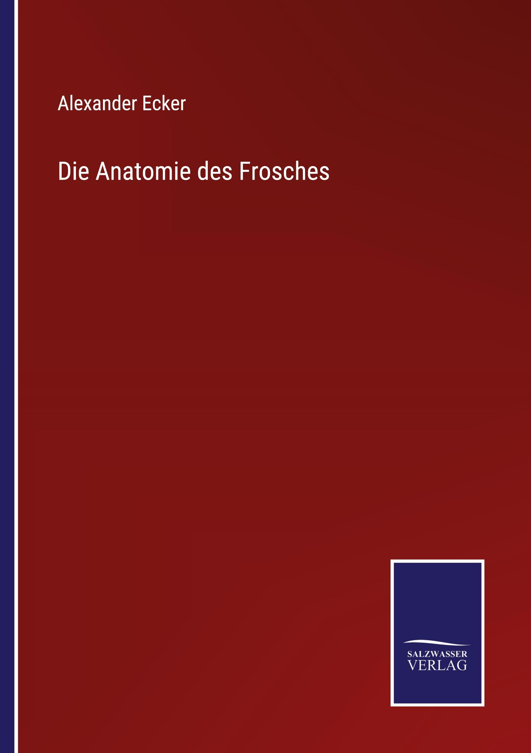 Die Anatomie des Frosches