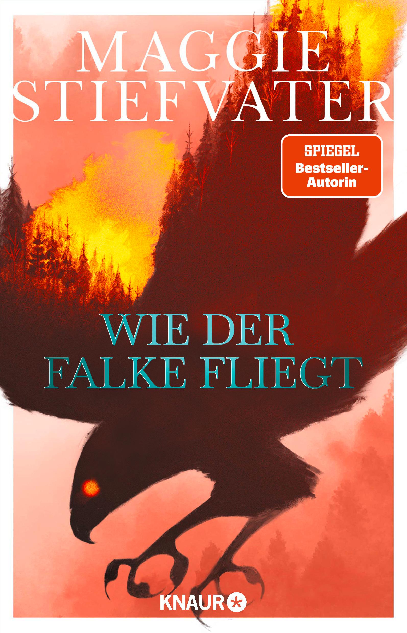 Wie der Falke fliegt