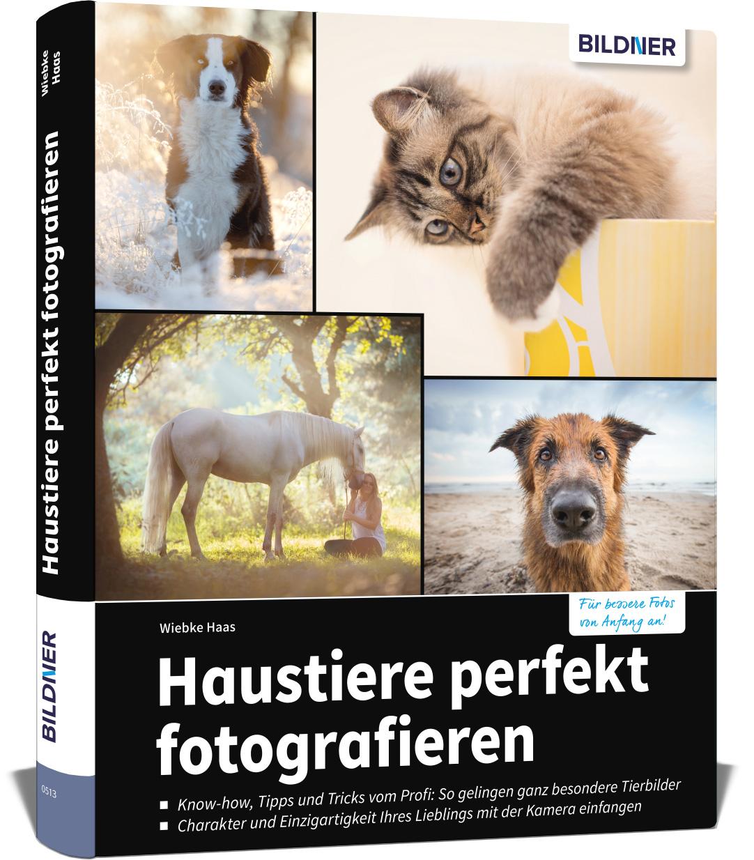 Haustiere perfekt fotografieren