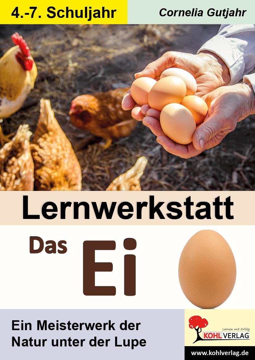 Lernwerkstatt Das Ei