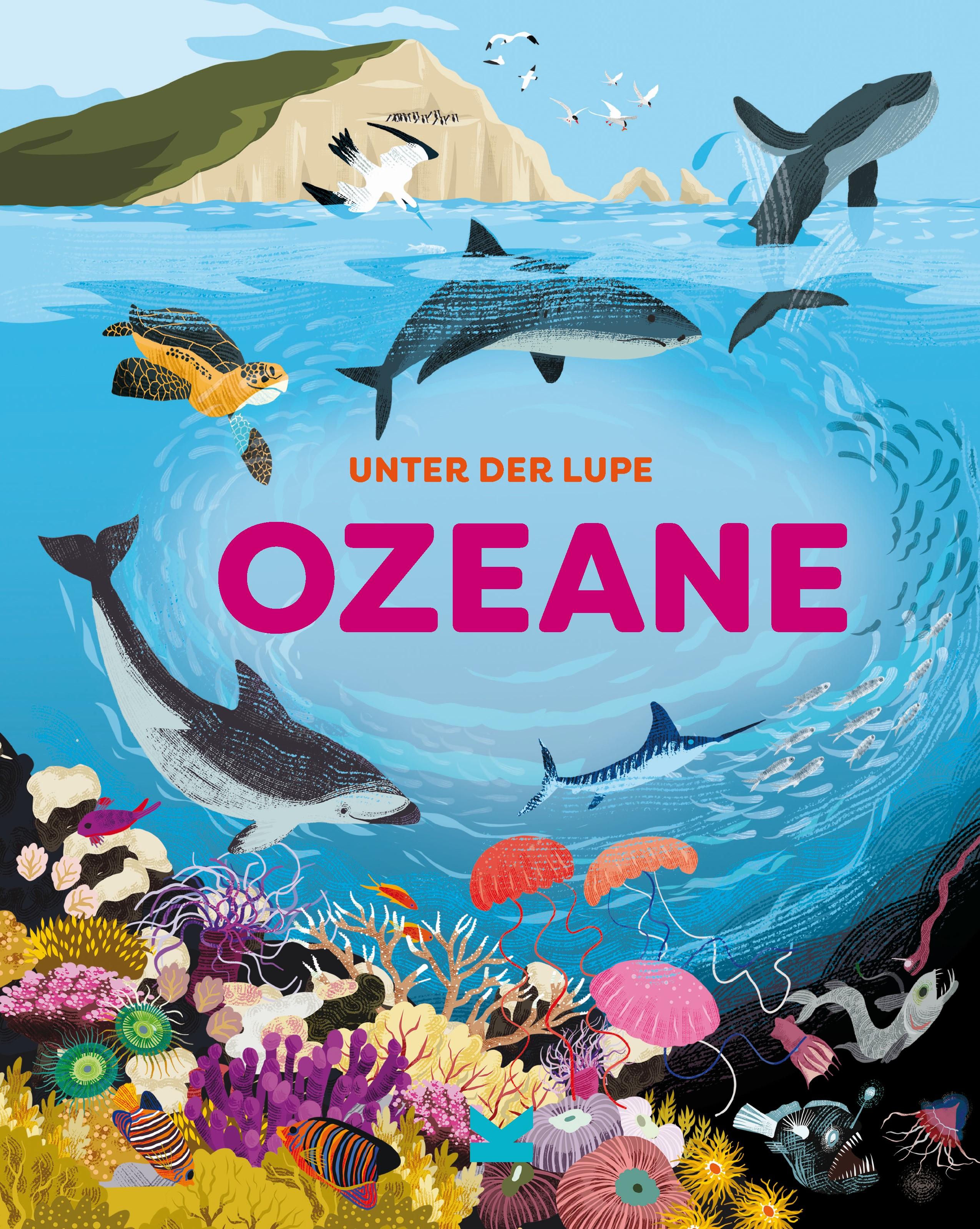 Unter der Lupe: Ozeane