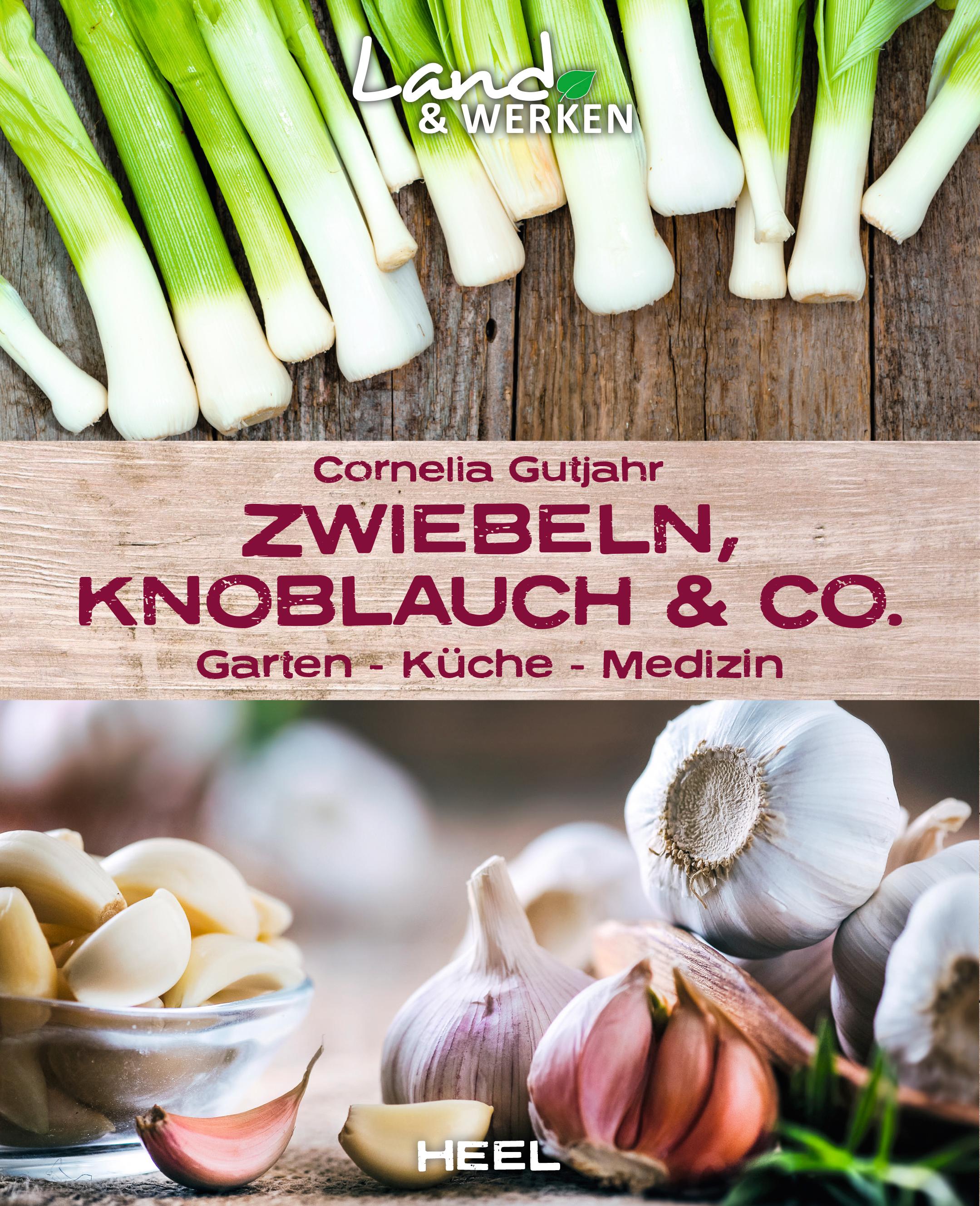 Zwiebeln, Knoblauch & Co. - Garten - Küche - Medizin