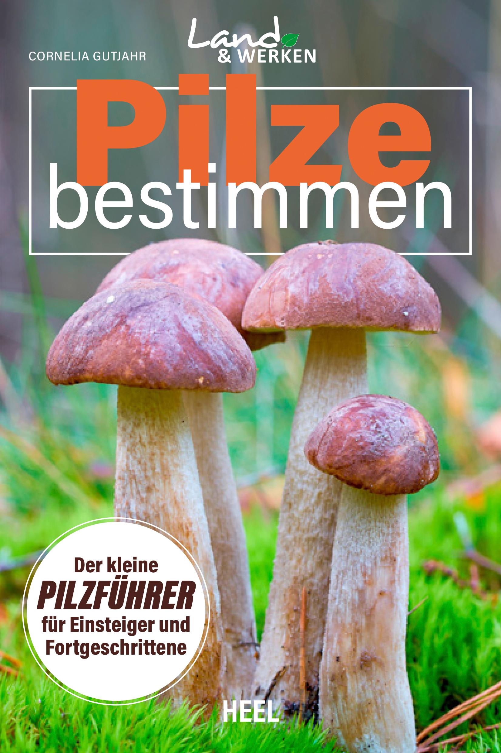 Pilze bestimmen - Der kleine Pilzführer für Einsteiger und Fortgeschrittene