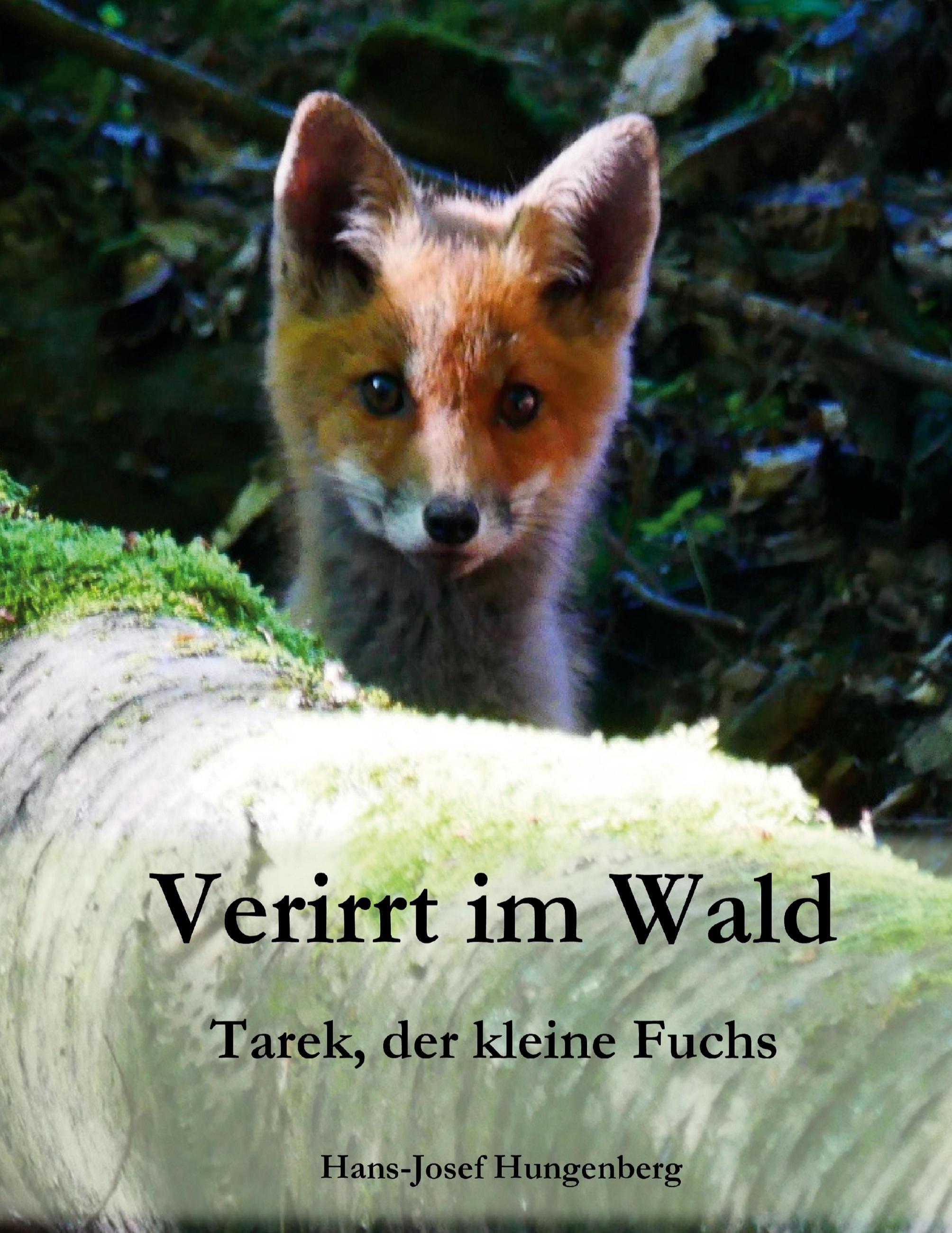 Verirrt im Wald