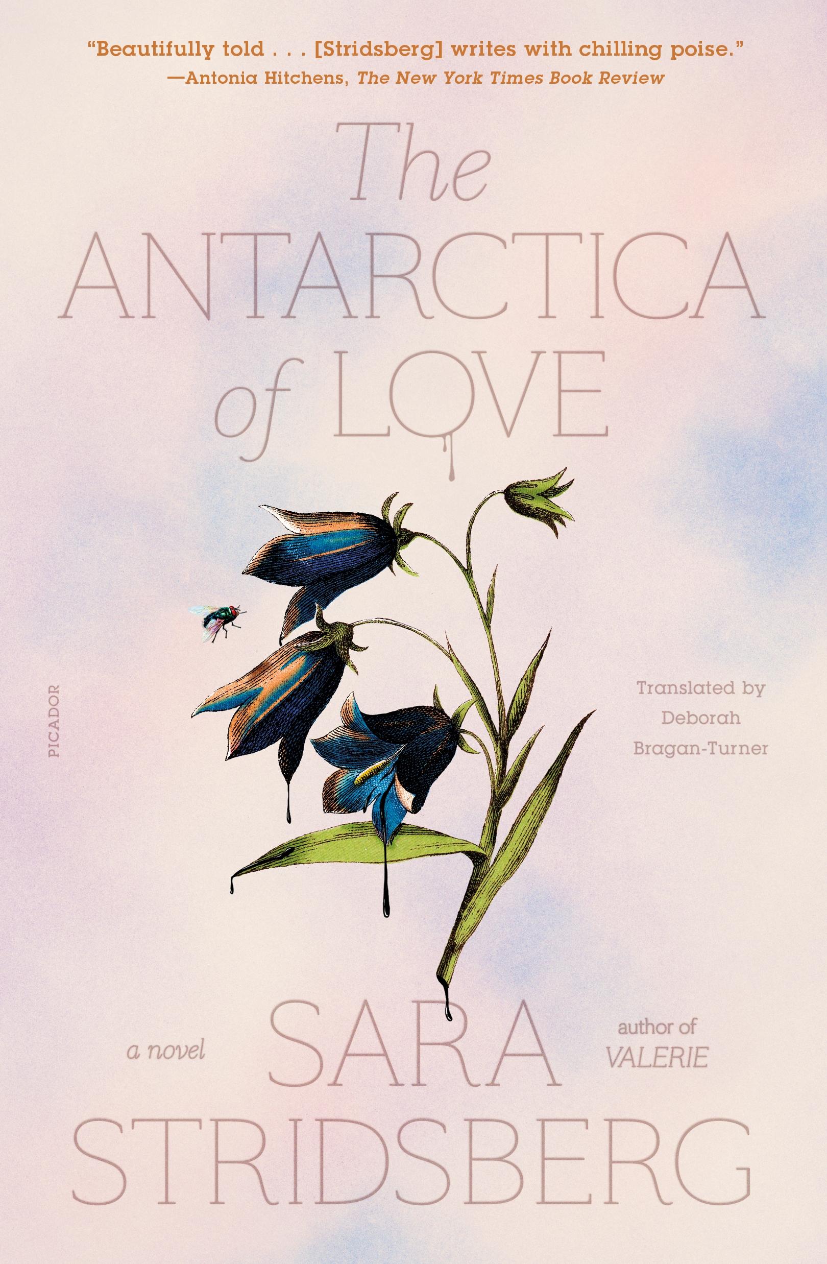 The Antarctica of Love