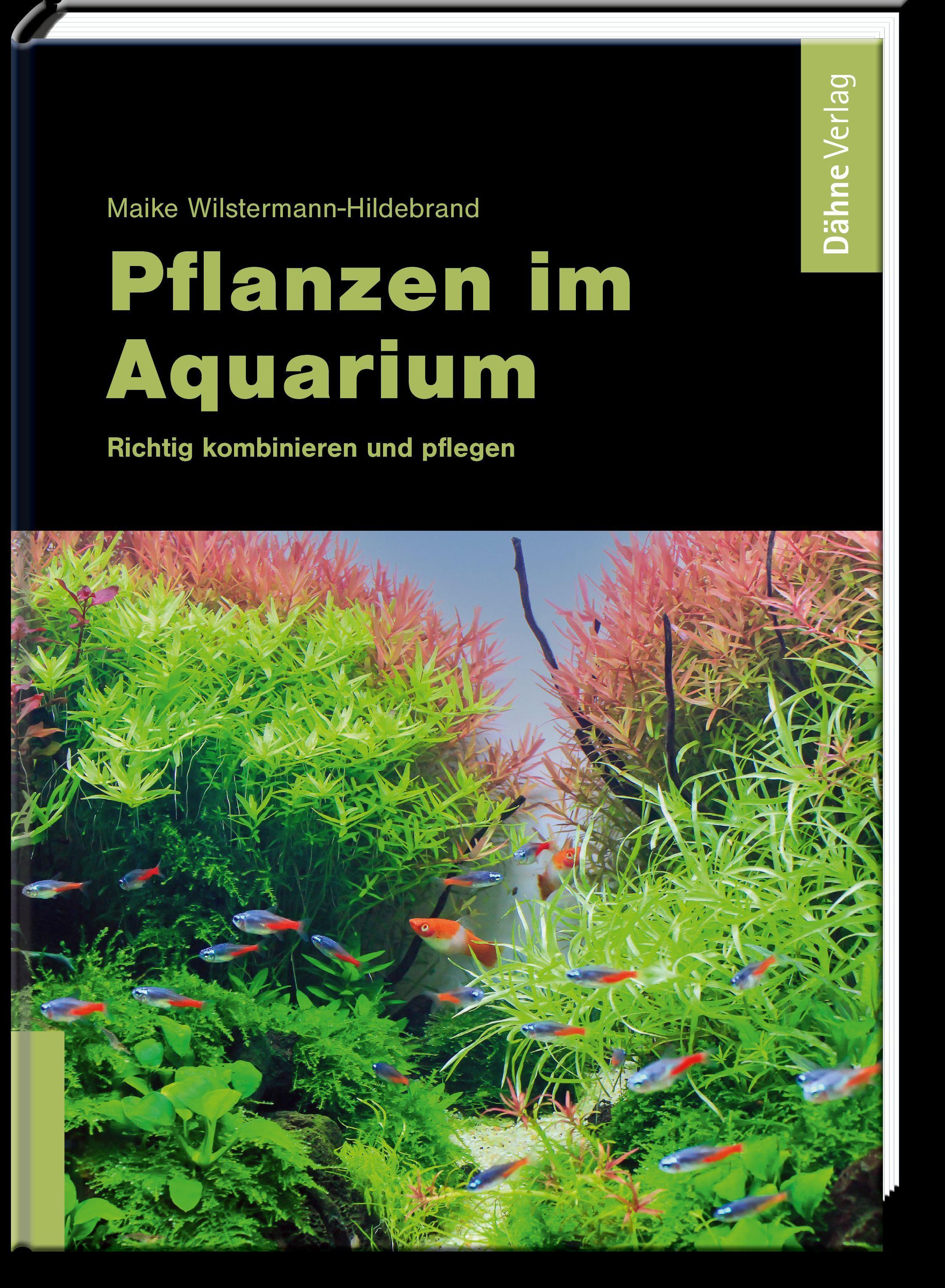 Pflanzen im Aquarium