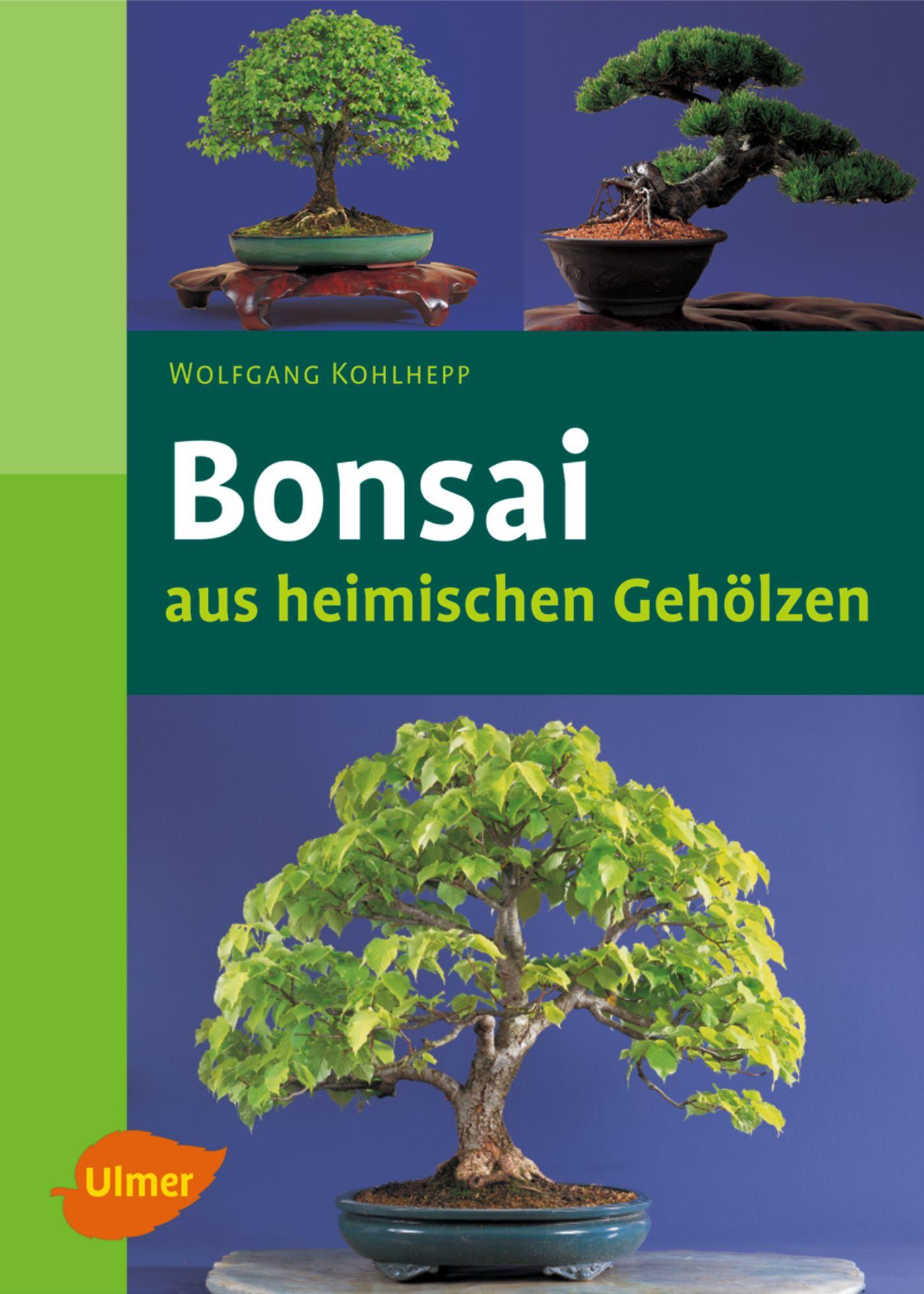 Bonsais aus heimischen Gehölzen