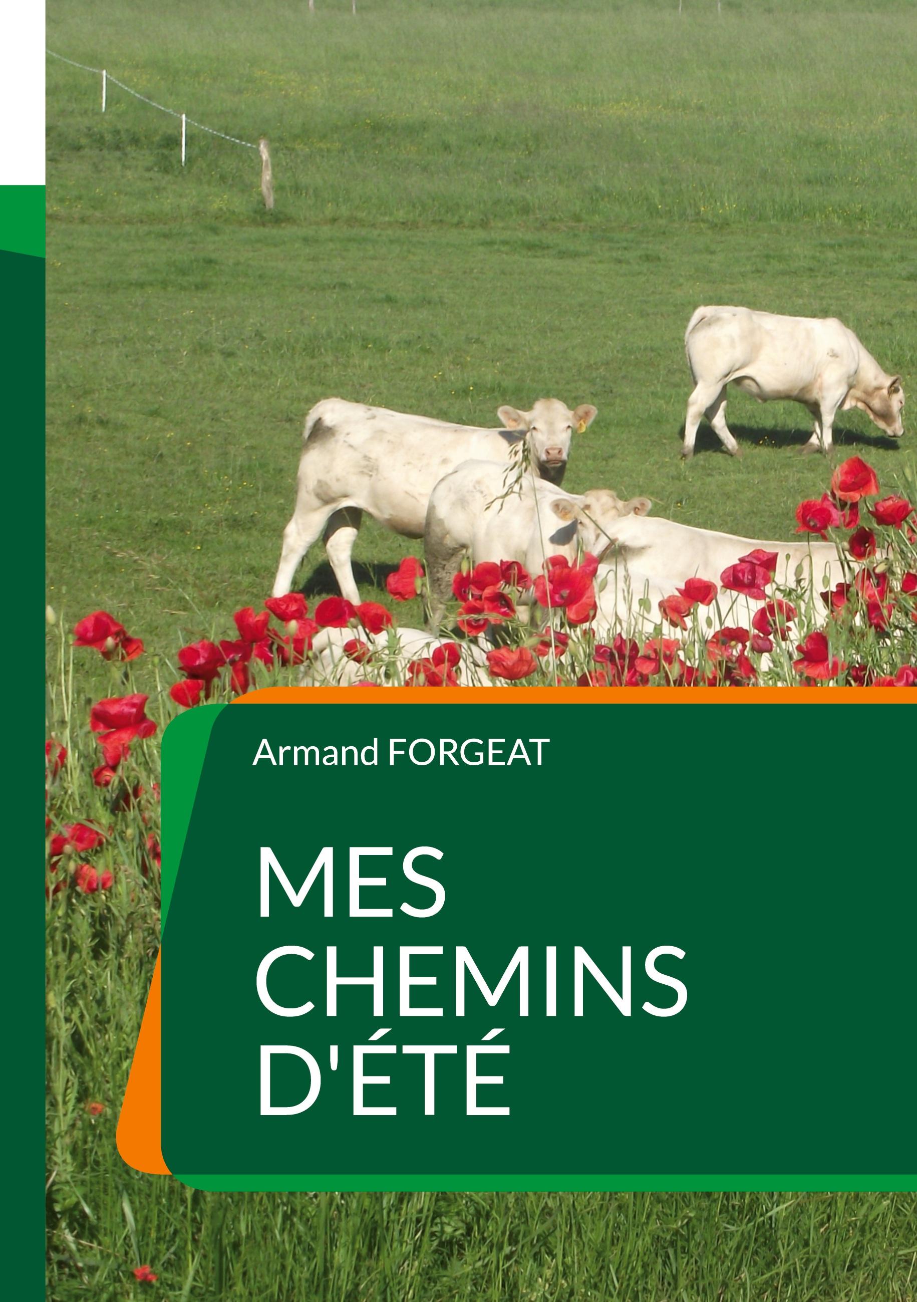 Mes chemins d'été