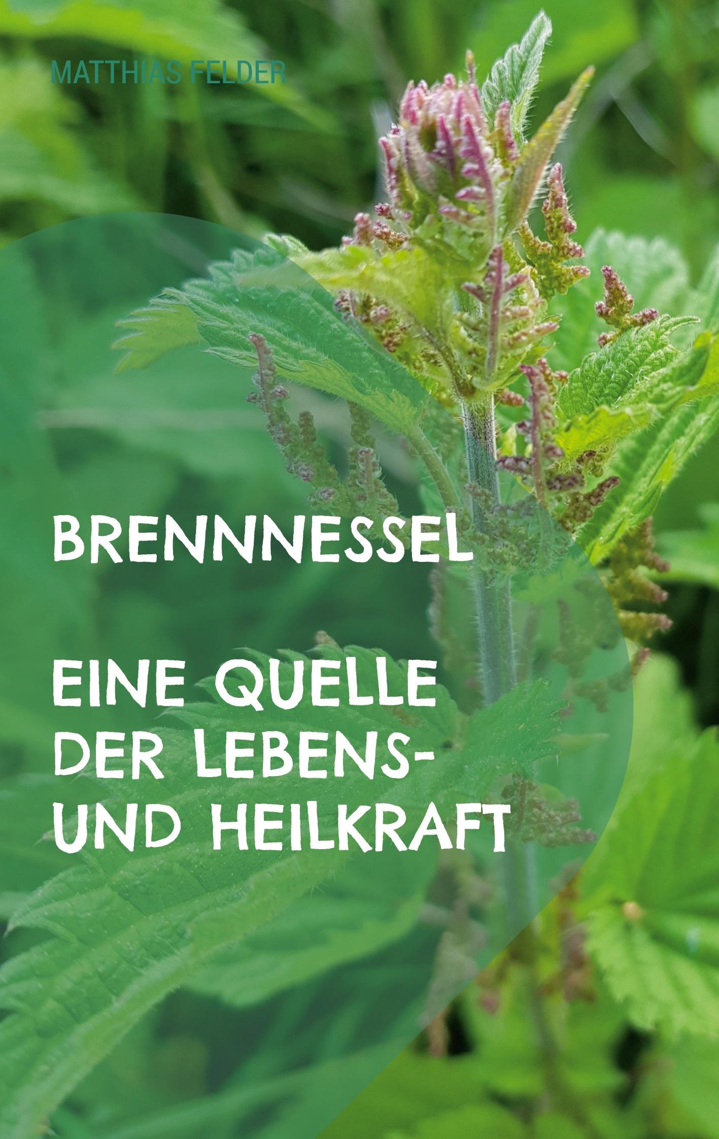 Brennnessel