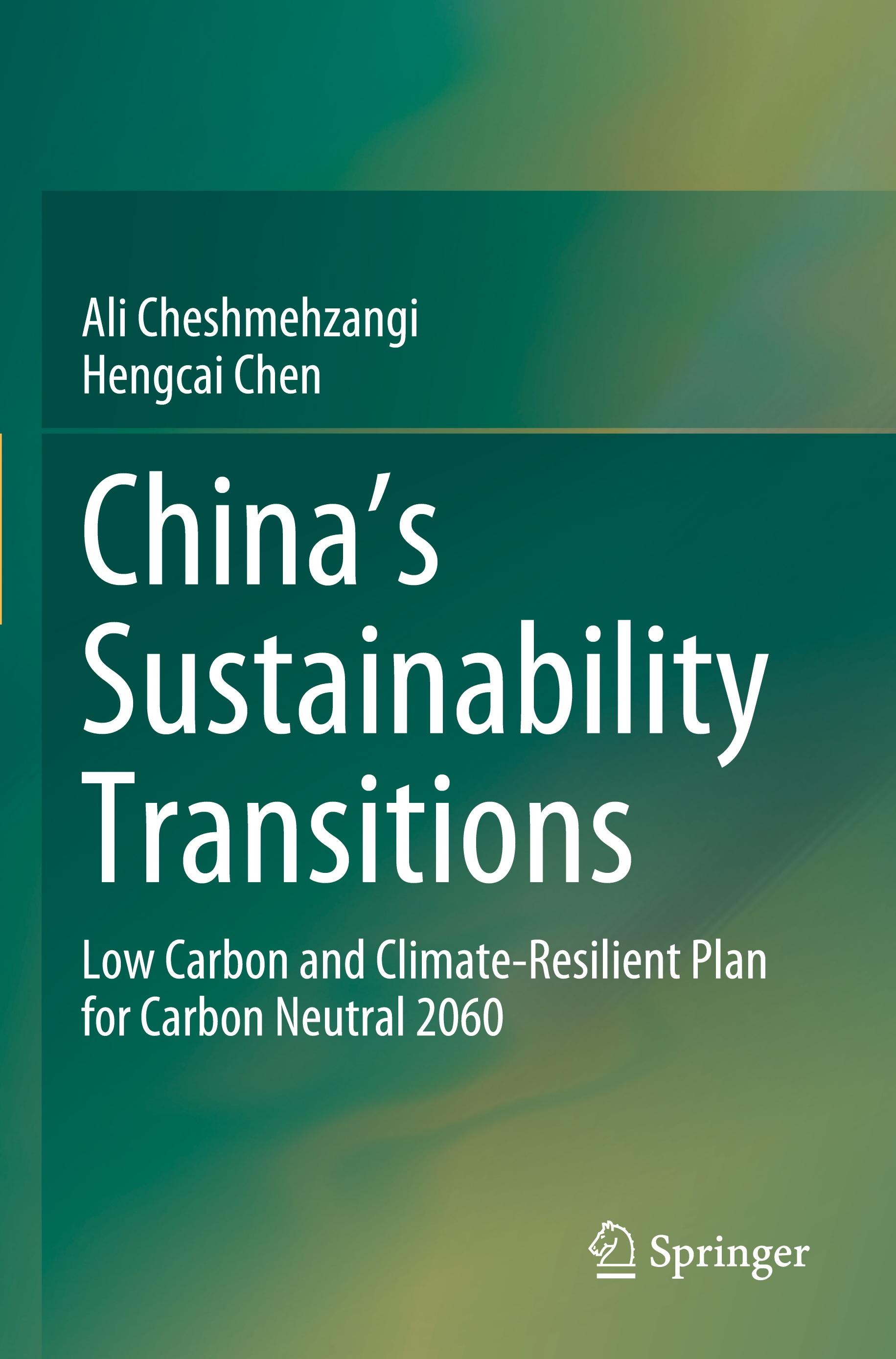 China's Sustainability Transitions