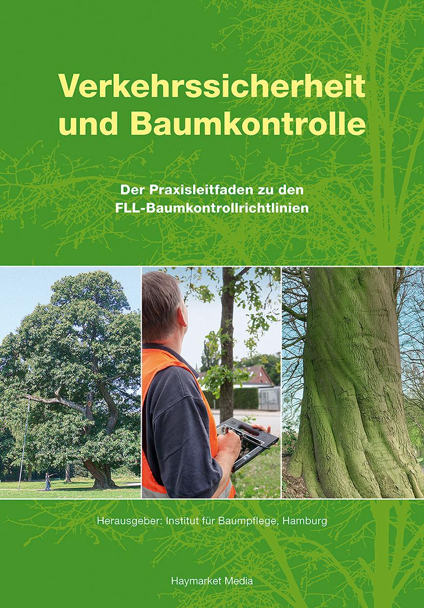 Verkehrssicherheit und Baumkontrolle