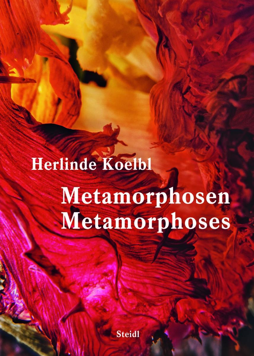 Metamorphosen / Metamorphoses