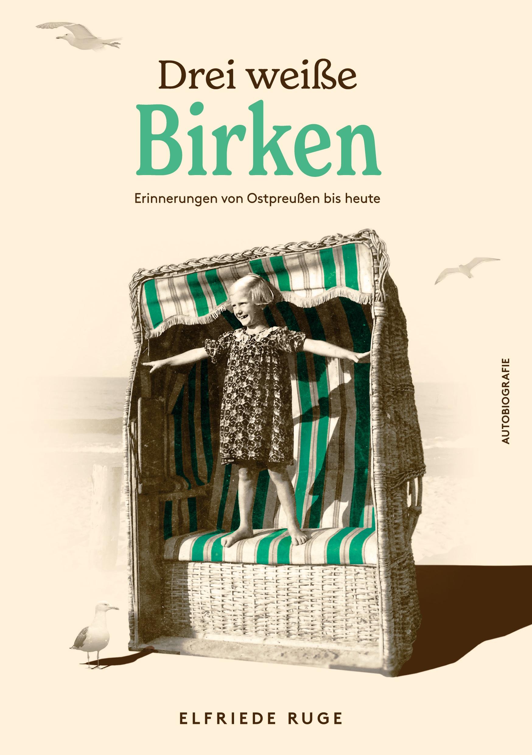 Drei weiße Birken