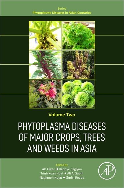 Phytoplasma Diseases of Major Crops, Trees, and Weeds