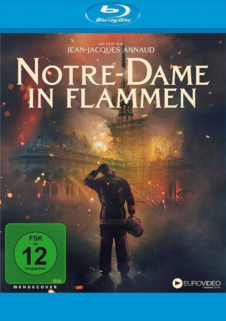 Notre-Dame in Flammen