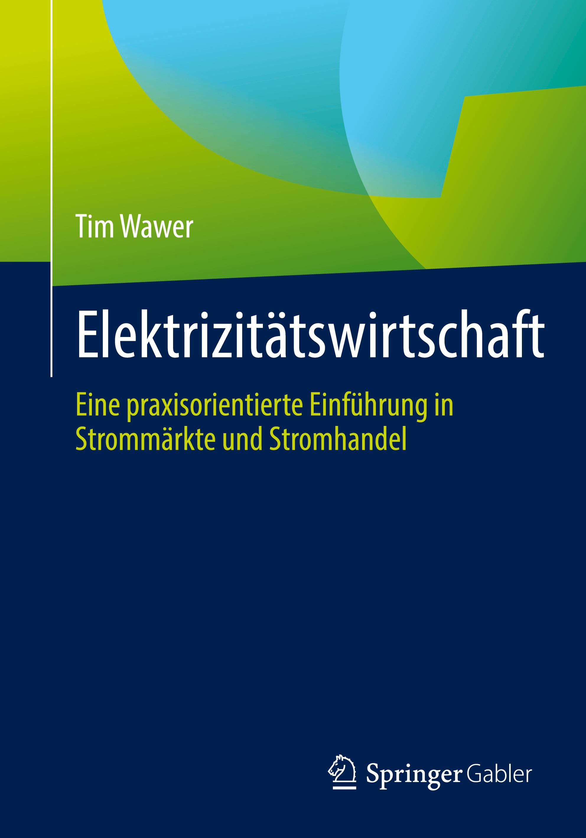 Elektrizitätswirtschaft