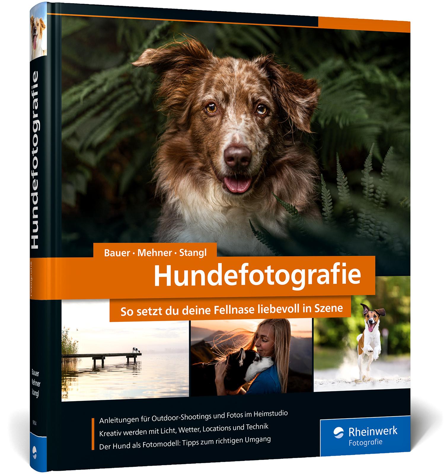 Hundefotografie