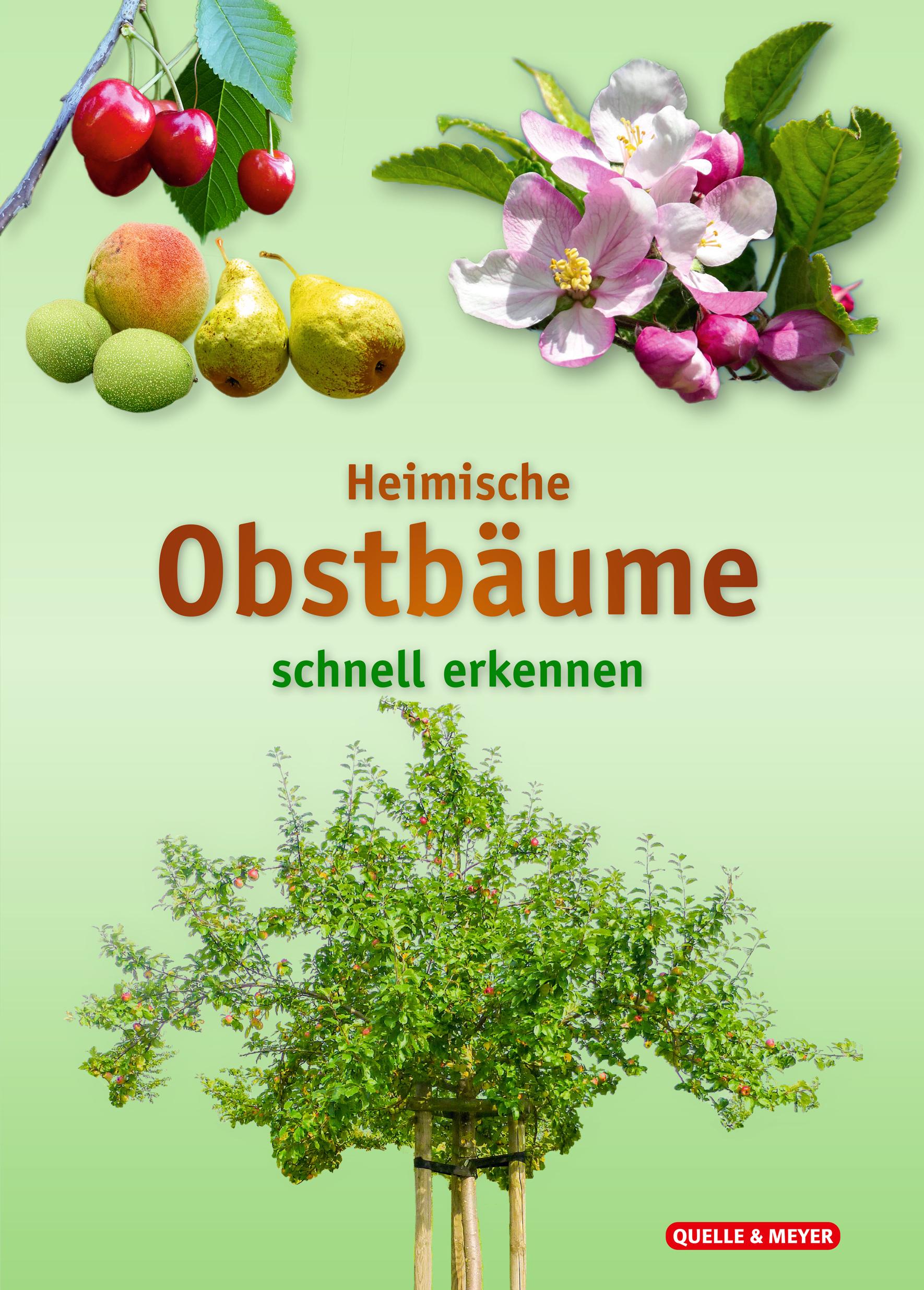 Heimische Obstbäume