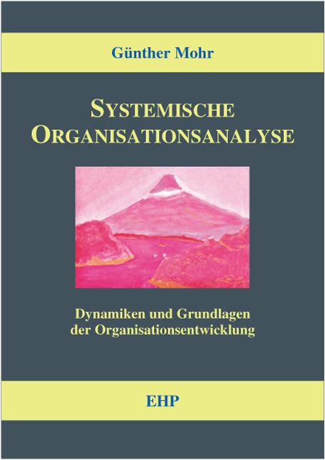 Systemische Organisationsanalyse