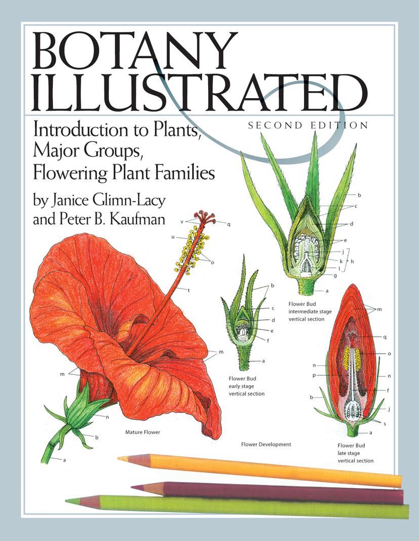 Botany Illustrated