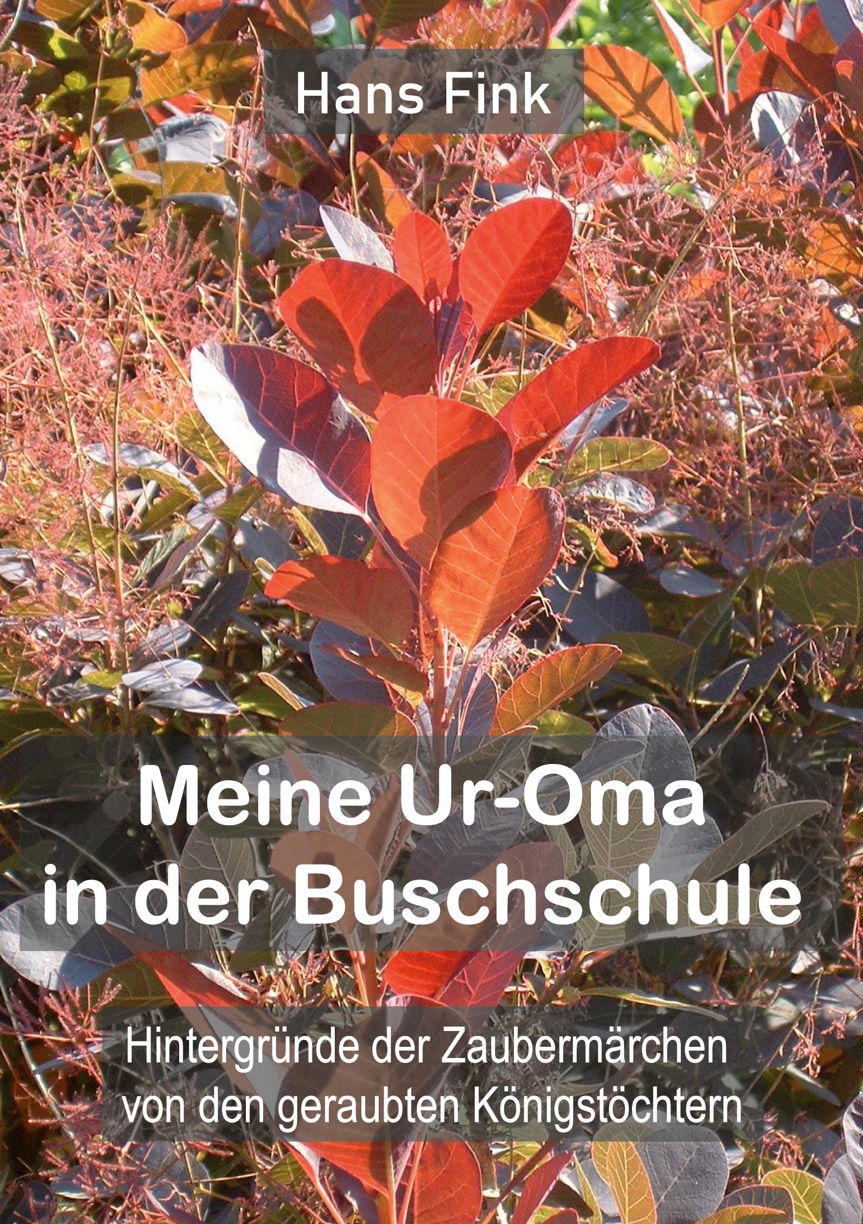 Meine Ur-Oma in der Buschschule