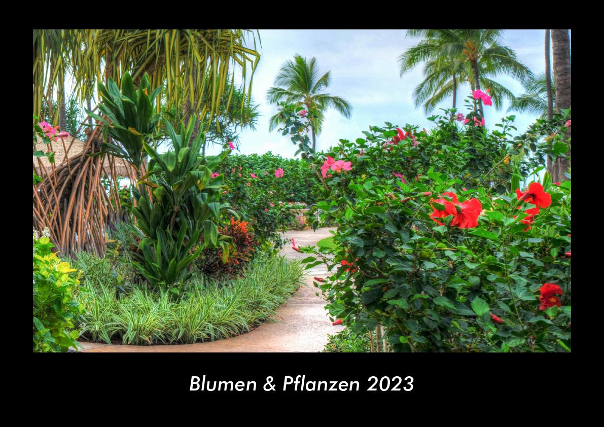 Blumen & Pflanzen 2023 Fotokalender DIN A3