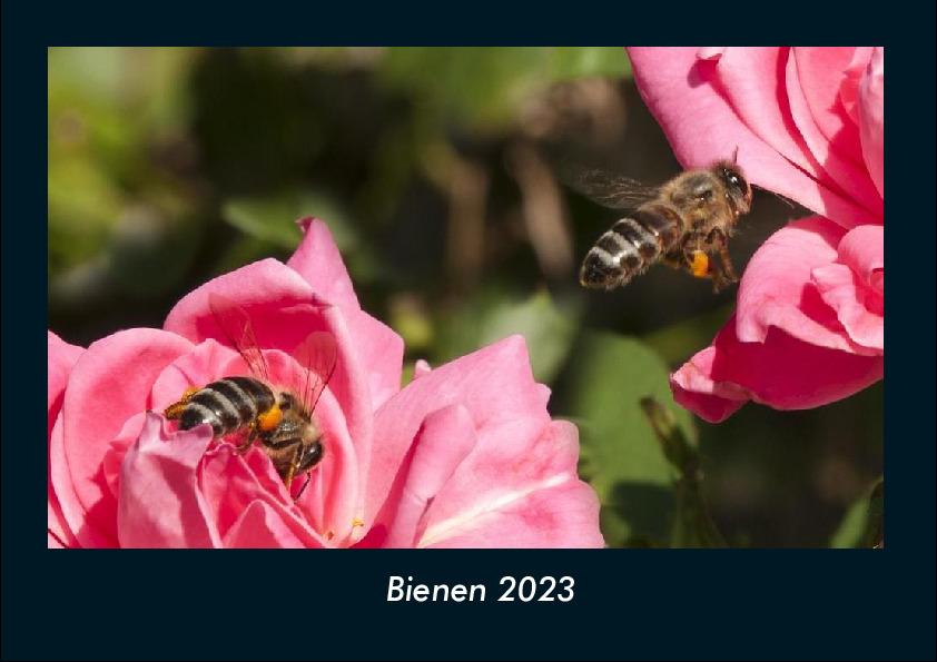 Bienen 2023 Fotokalender DIN A4