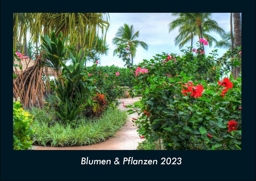 Blumen & Pflanzen 2023 Fotokalender DIN A4