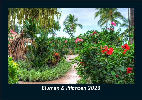 Blumen & Pflanzen 2023 Fotokalender DIN A5