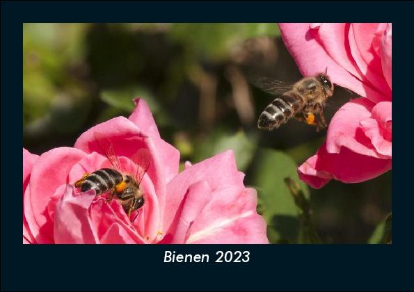 Bienen 2023 Fotokalender DIN A5