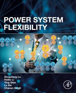 Power System Flexibility