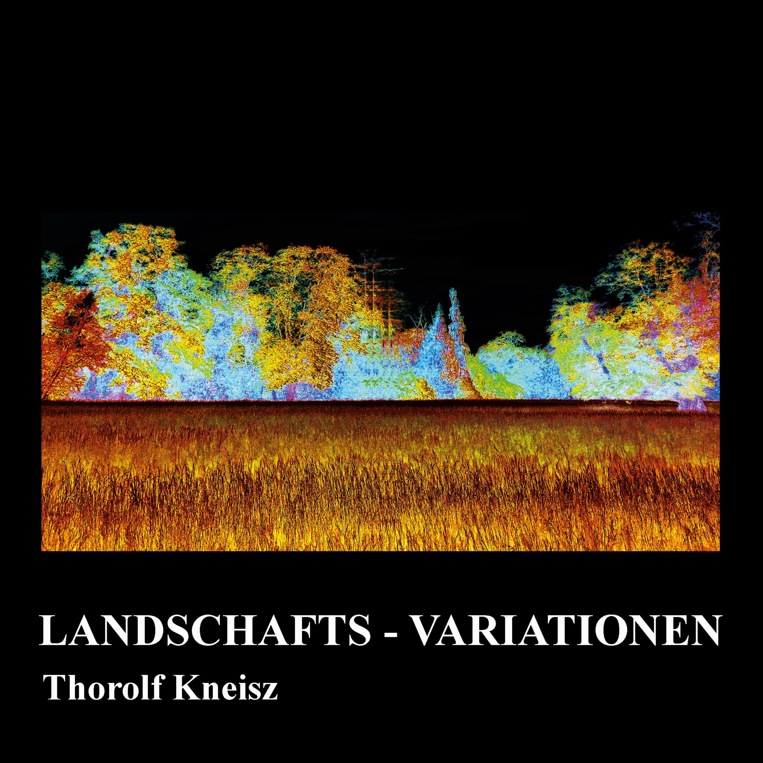 Landschafts-Variationen