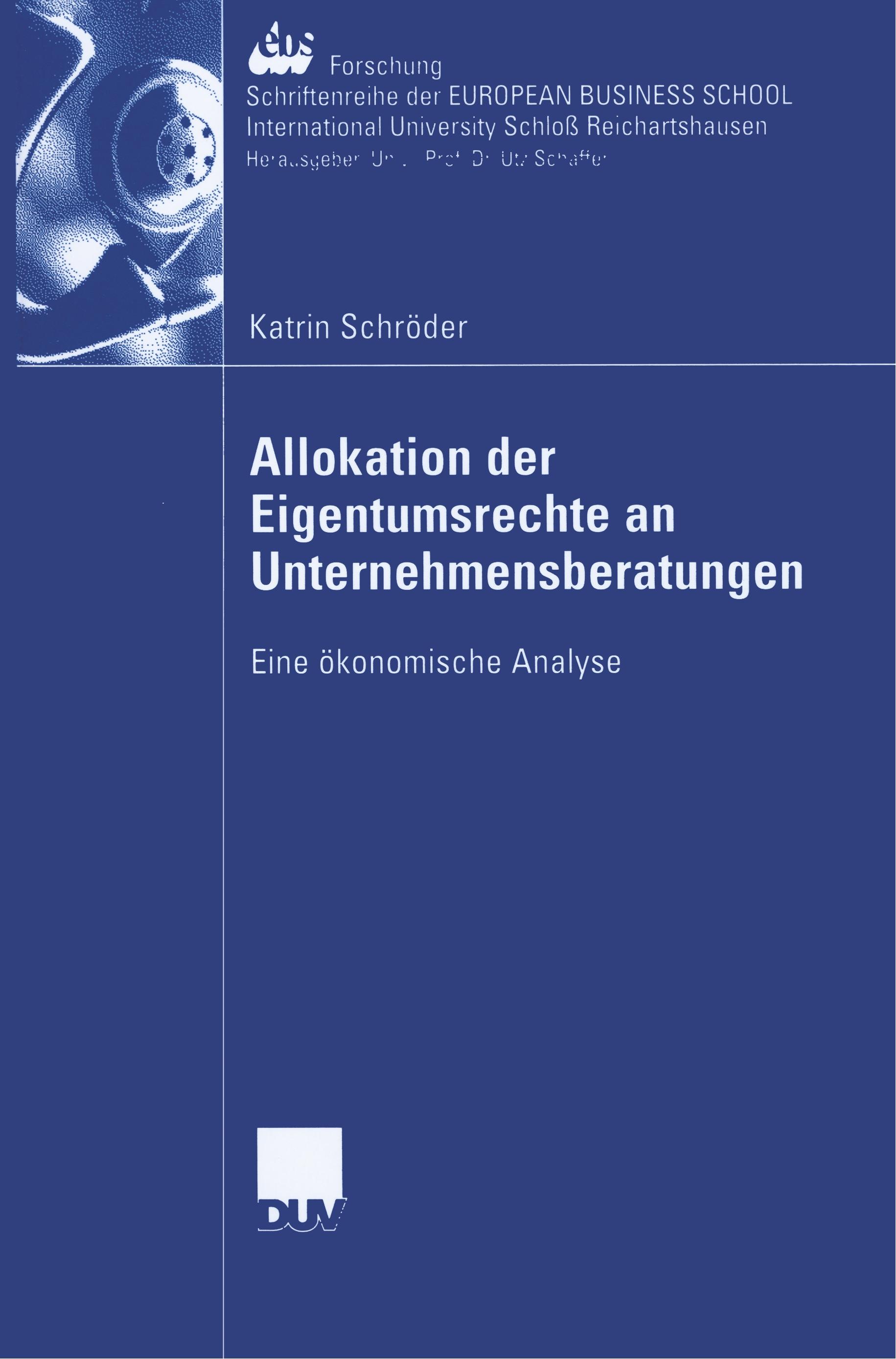 Allokation der Eigentumsrechte an Unternehmensberatungen