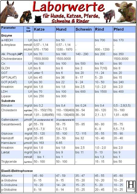 Laborwerte für Hunde, Katzen, Pferde, Schweine, Rinder