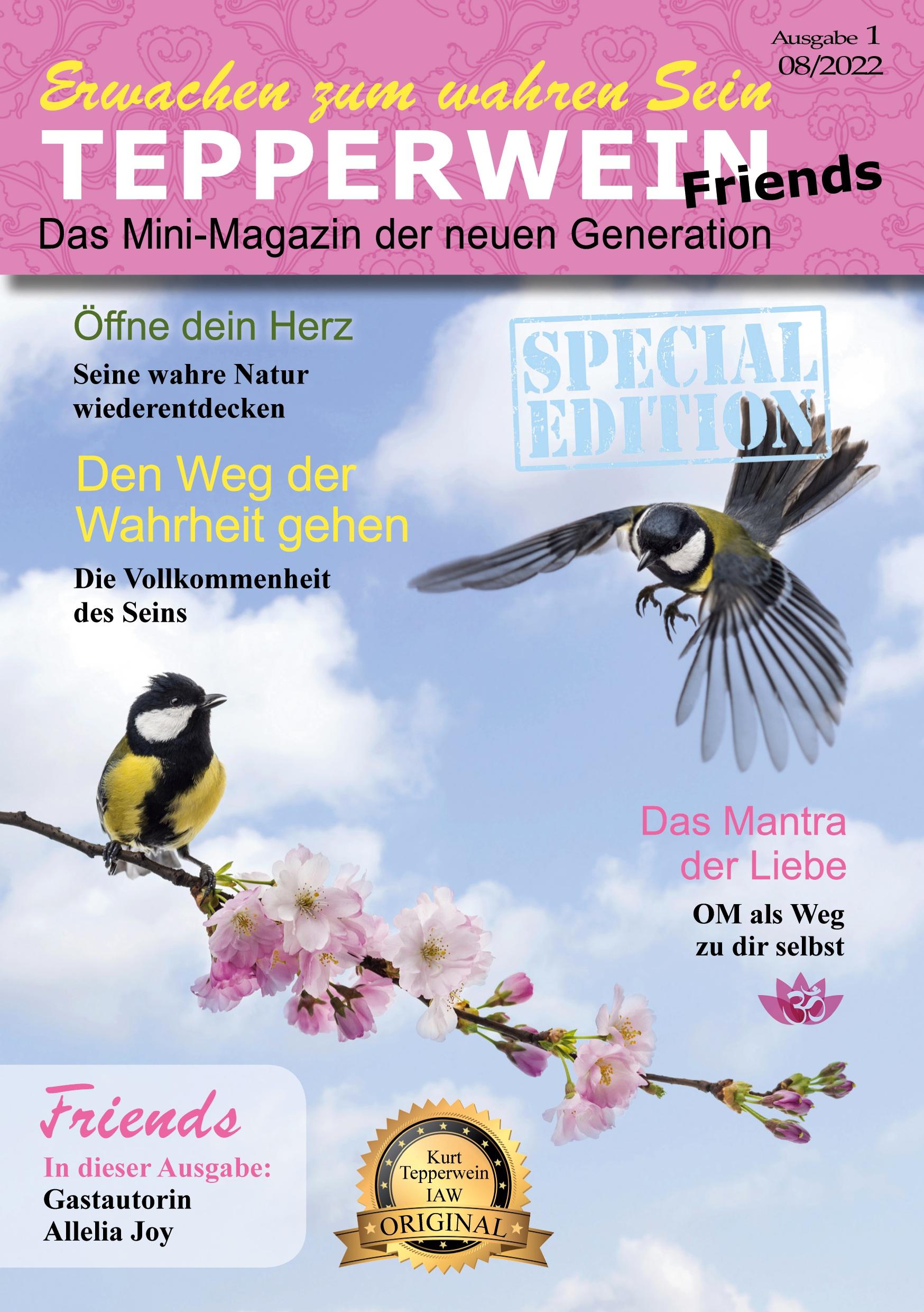 Erwachen zum wahren Sein - Tepperwein Friends Magazin