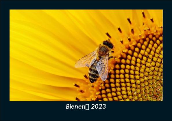 Bienen 2023 Fotokalender DIN A5