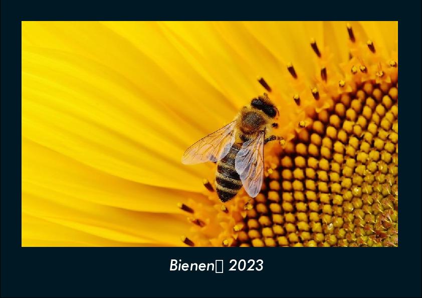 Bienen 2023 Fotokalender DIN A4