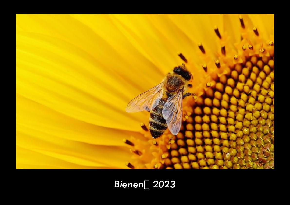 Bienen 2023 Fotokalender DIN A3