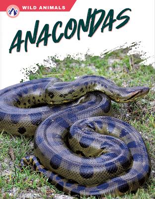 Anacondas