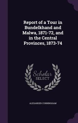 Report of a Tour in Bundelkhand and Malwa, 1871-72, and in the Central Provinces, 1873-74