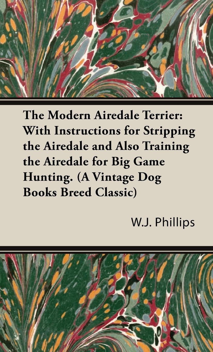 The Modern Airedale Terrier