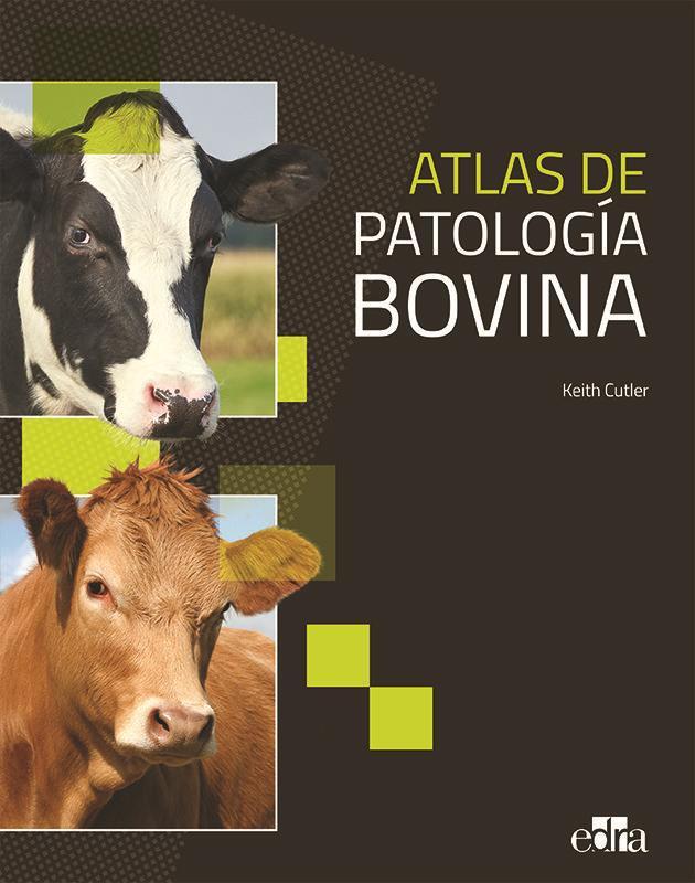 Atlas patología bovina