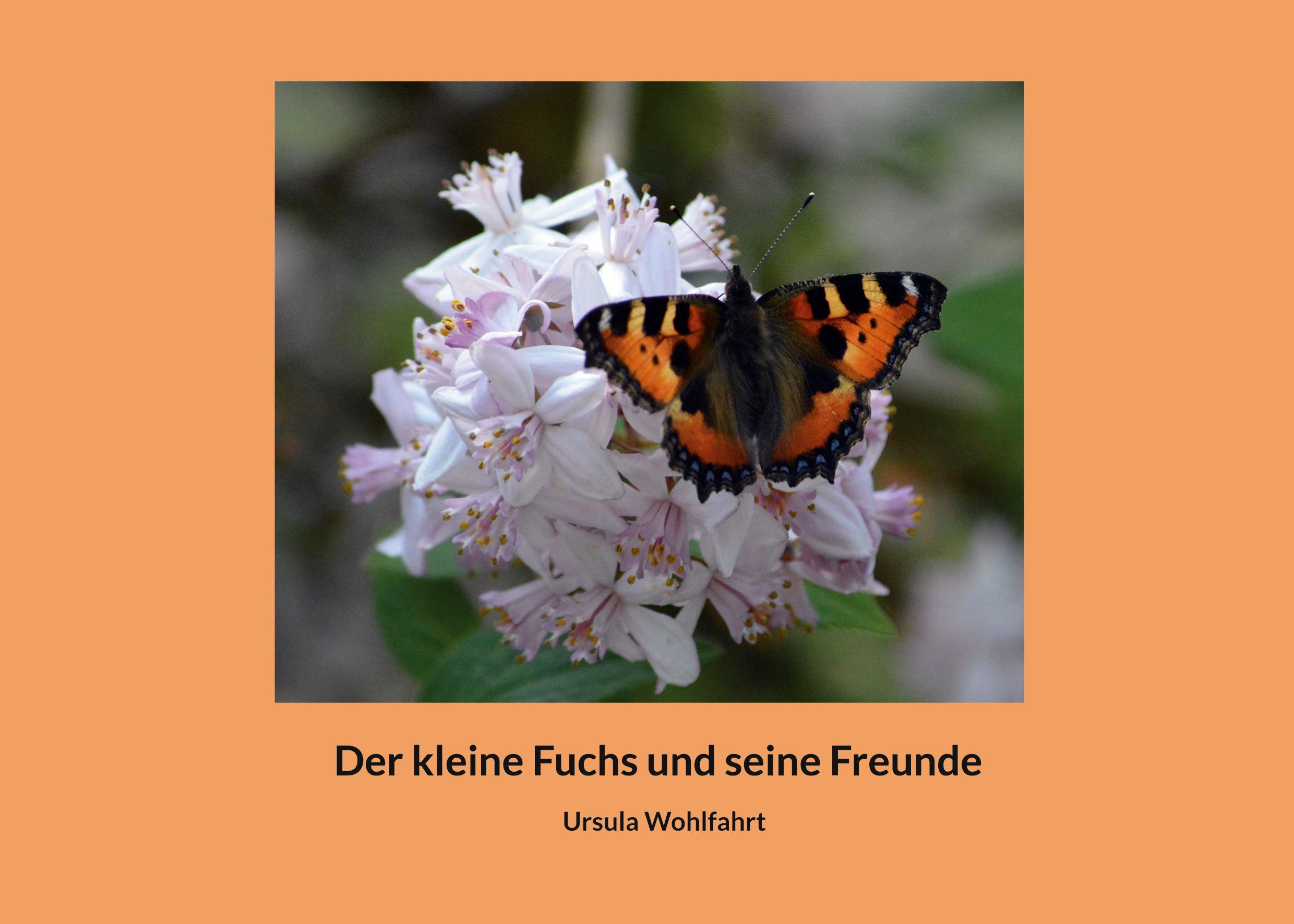 Der kleine Fuchs und seine Freunde