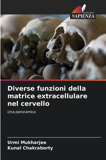 Diverse funzioni della matrice extracellulare nel cervello