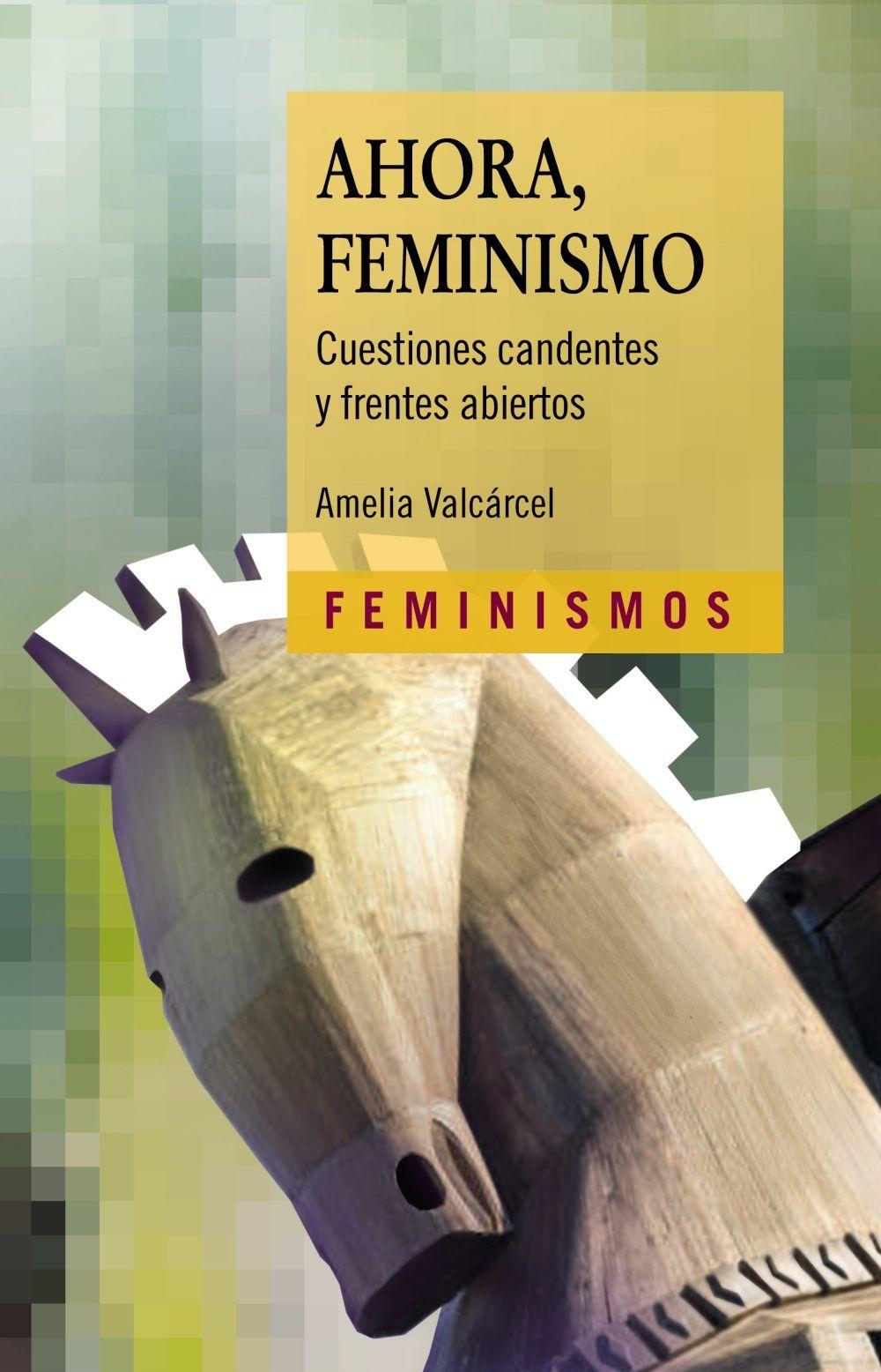 Ahora, feminismo : cuestiones candentes y frentes abiertos