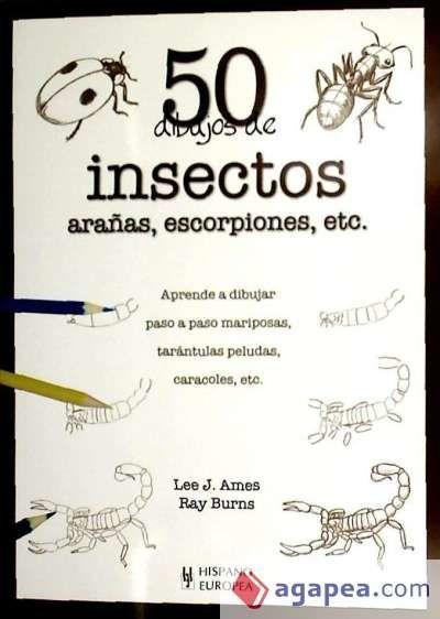 50 dibujos de insectos